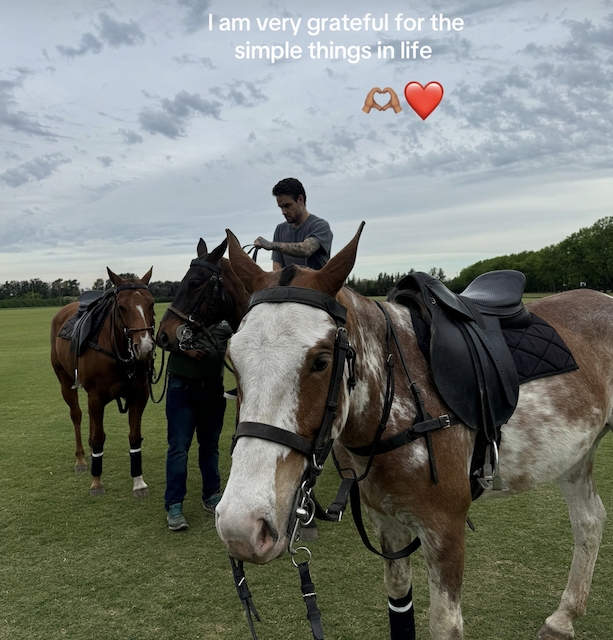 Liam Payne on horseback in a TikTok video